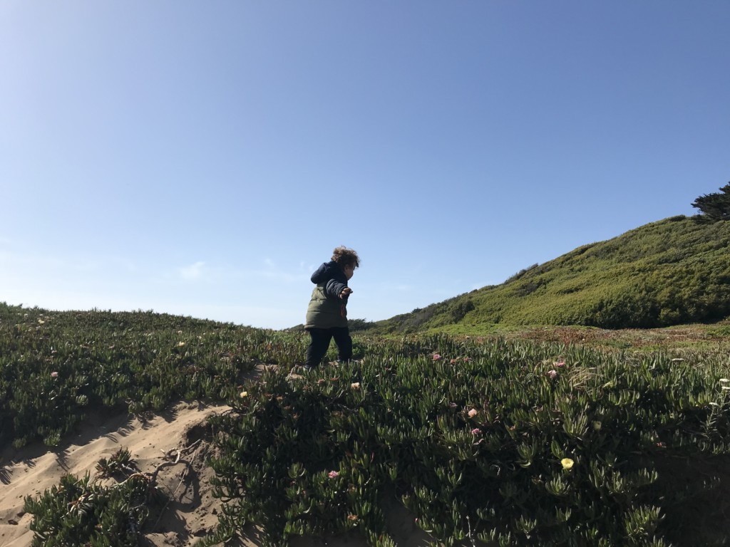 outdoor toddler classes san francisco