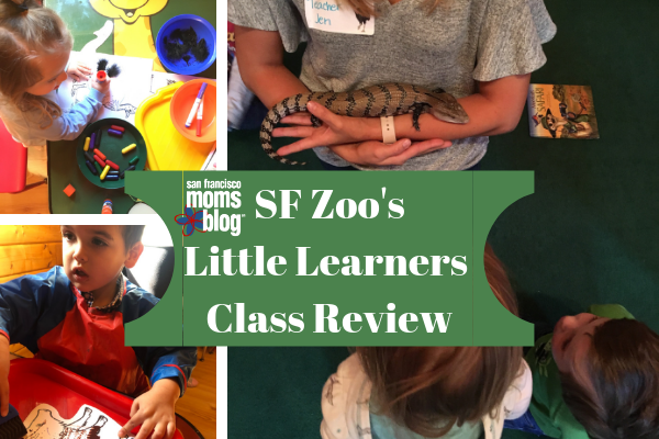 toddler preschool classes sf