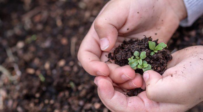 Let's Be Eco-Smart: Earth Day Roundup
