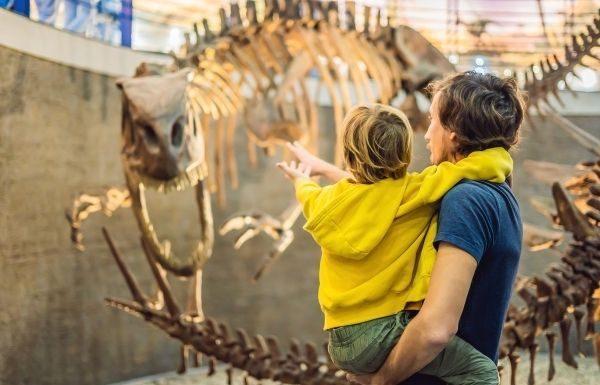 Cost-Friendly Summer Activities the Whole Family Can Enjoy