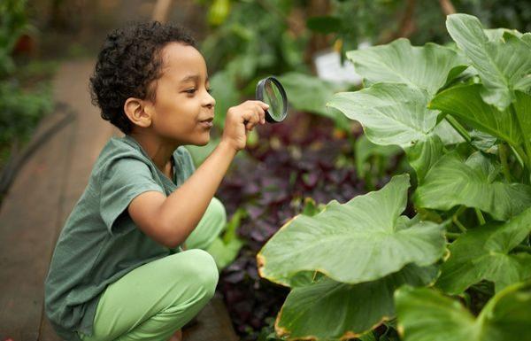 4 Ways To Encourage Your Child’s Interests