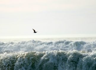 Pajaro Dunes in Santa Cruz County, CA