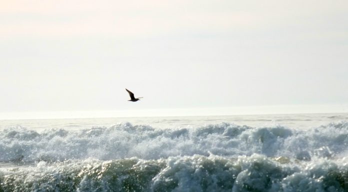 Pajaro Dunes in Santa Cruz County, CA