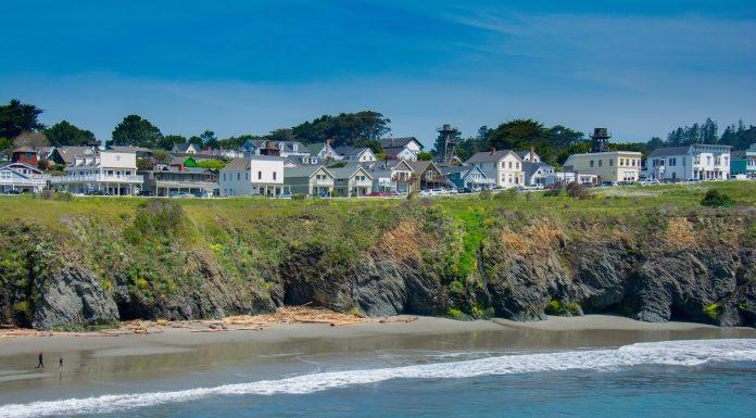 A Guide to Exploring Mendocino with Kids