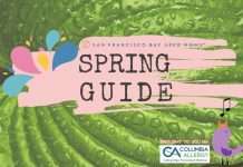 Spring Guide