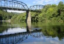 An Alternative to Muir Woods Park: Guerneville