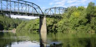 An Alternative to Muir Woods Park: Guerneville