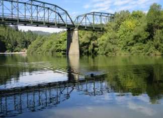 An Alternative to Muir Woods Park: Guerneville