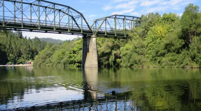 An Alternative to Muir Woods Park: Guerneville