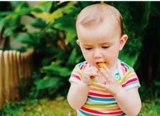 A baby in a colorful striped shirt sitting in a garden, holding a dandelion and putting it in their mouth.