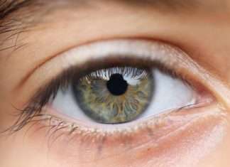 Can You Pass This Eye Health and Safety Test?