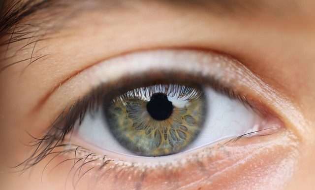 Can You Pass This Eye Health and Safety Test?