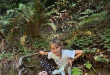 Muir Woods: A Perfect Day Trip for Bay Area Families