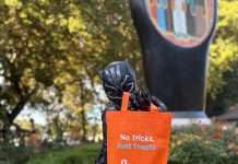 Building a Holiday Village with Allergy Champions