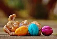 Natural Easter Egg Dyes: Food Safety Expert Explains What You Need to Know Before Coloring Eggs Natural Easter Egg Dyes: Food Safety Expert Explains What You Need to Know Before Coloring Eggs