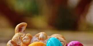 Natural Easter Egg Dyes: Food Safety Expert Explains What You Need to Know Before Coloring Eggs